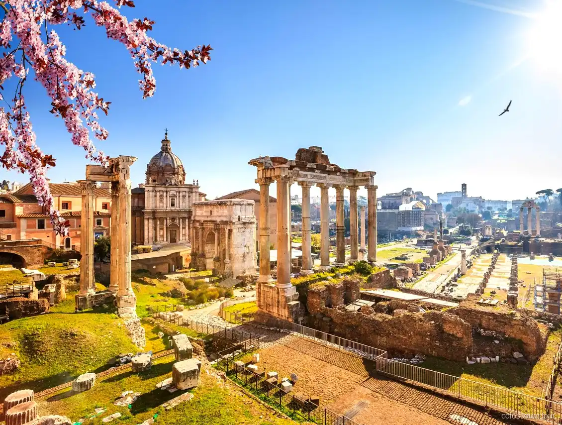 Visita vespertina a los Museos Vaticanos en el combinado con el Coliseo
