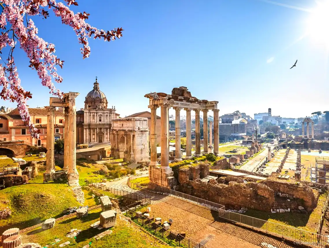 Middagbezoek aan de Vaticaanse Musea tijdens de Colosseum combitour