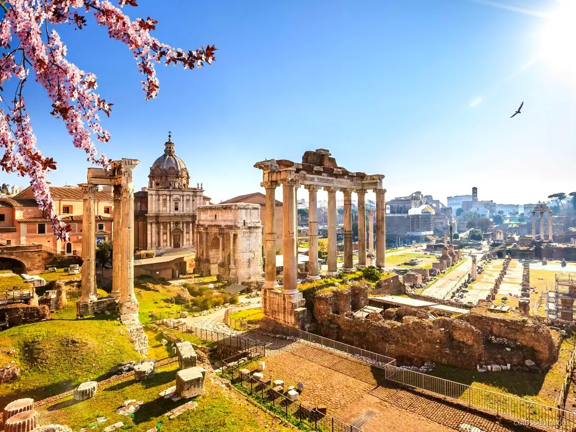 Eftermiddagsbesök i Vatikanmuseerna på Colosseum-kombituren